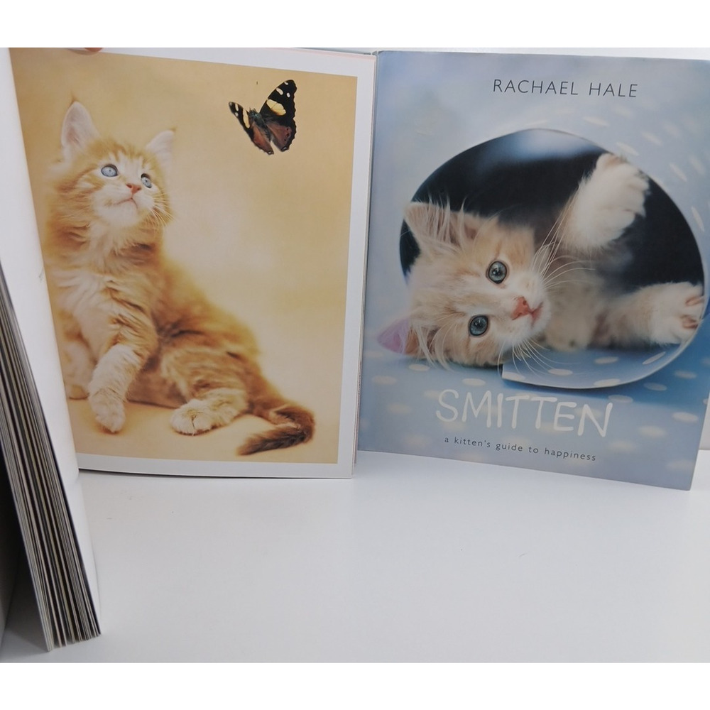 Rachael Hale Smitten Kitten Cat Photo Lookbook Coffee Table Book